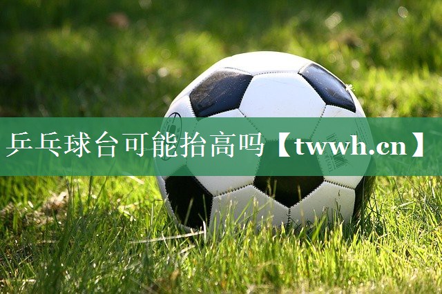 乒乓球台可能抬高吗 乒乓球台可能抬高吗