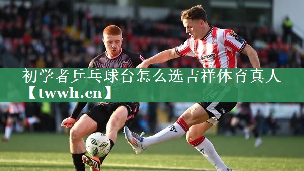 初学者乒乓球台怎么选吉祥体育真人