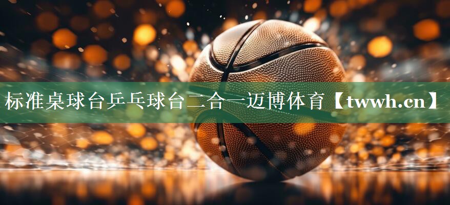 标准桌球台乒乓球台二合一迈博体育