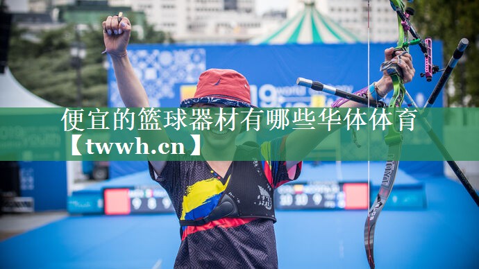 便宜的篮球器材有哪些华体体育