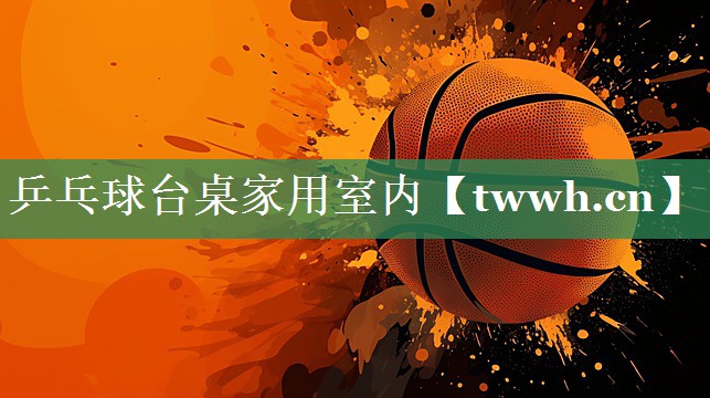 乒乓球台桌家用室内