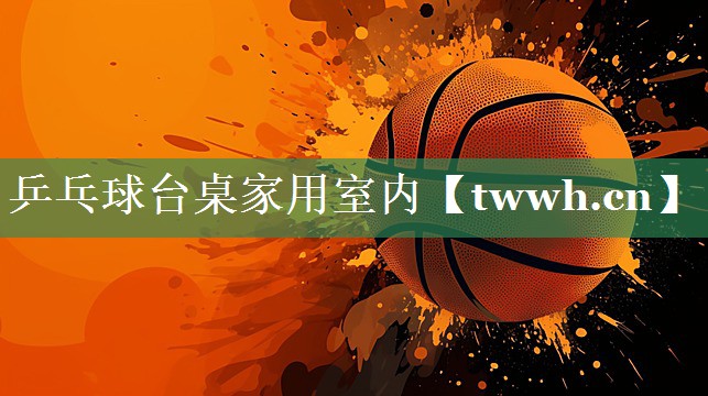 乒乓球台桌家用室内 乒乓球台桌家用室内